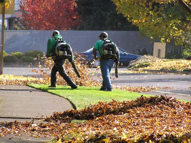 lawngreen fall cleanup