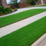 lawn repair and sod installation