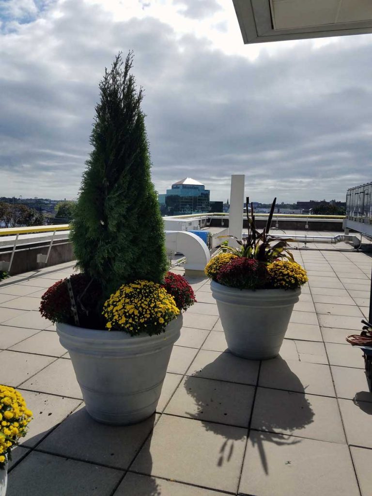 Rooftop planters at Einstein in Bronx