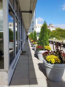 Rooftop planters at Einstein in Bronx