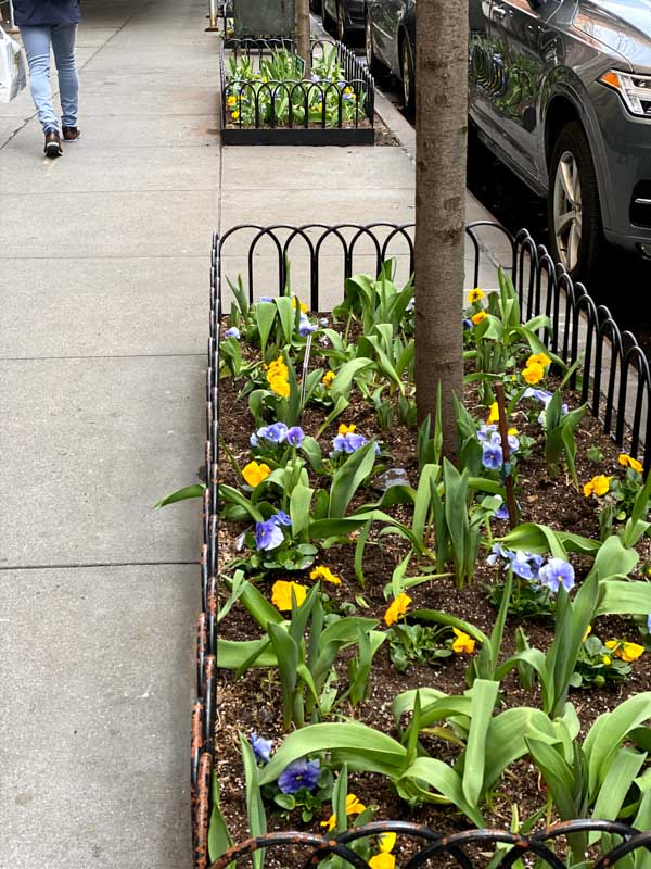Manhattan Spring Planter 4