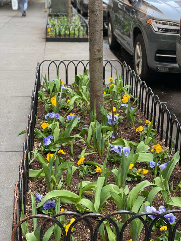 Manhattan Spring Planter 5