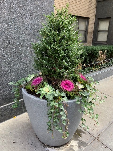 Bronx and NYC Commercial Planter-1