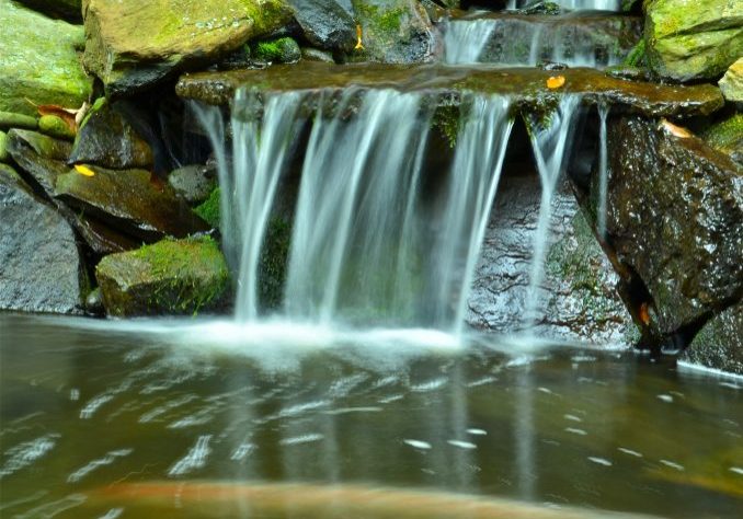 backyard waterfall and koi pond
